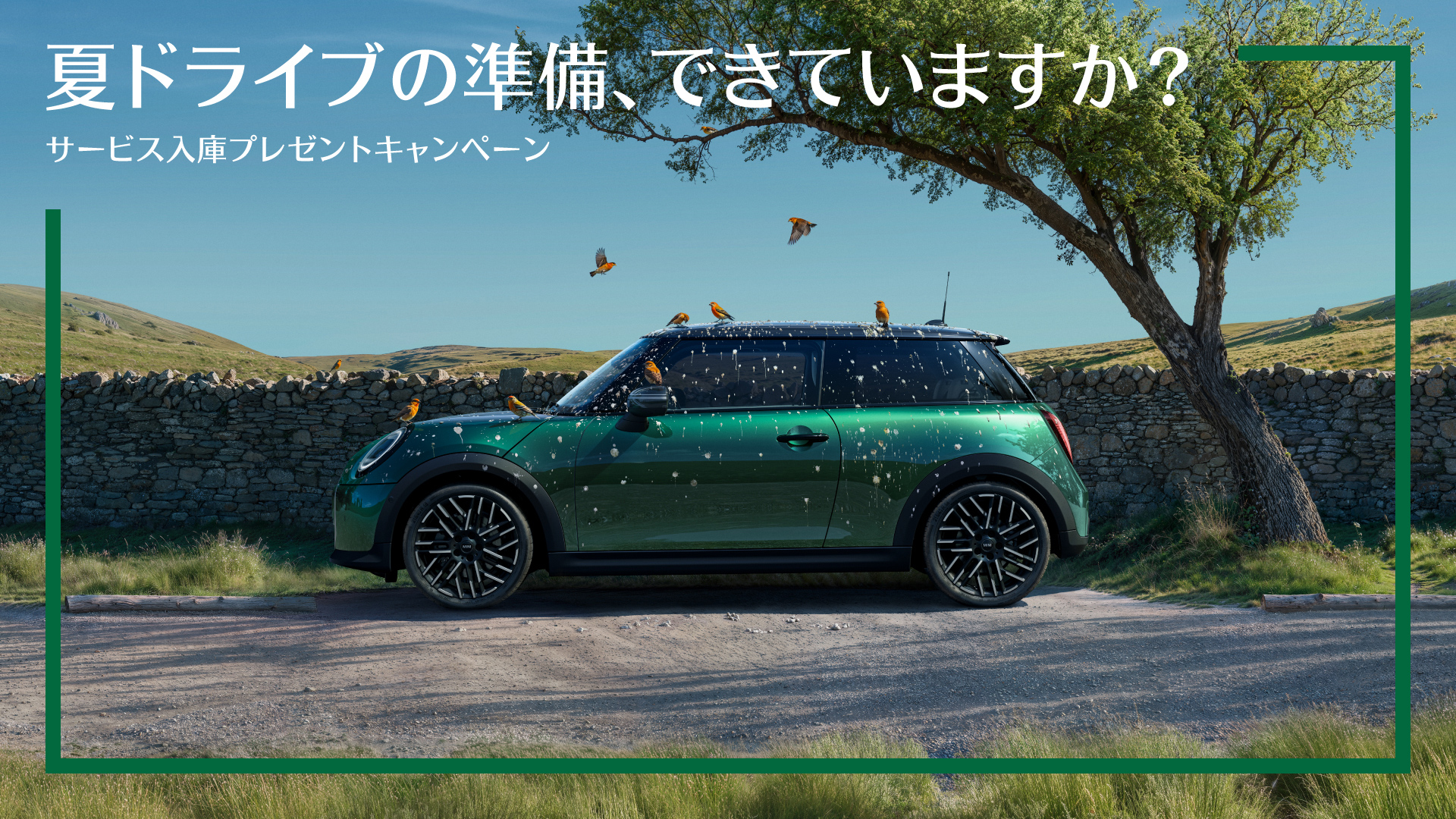 MINI 鹿児島 / MINI NEXT 鹿児島